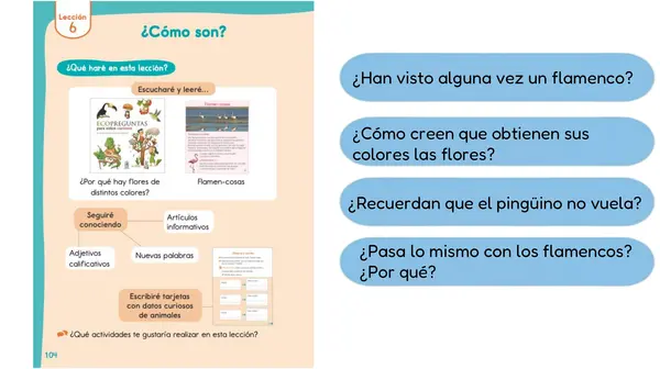 Lección 6 "¿Cómo son?" 2° Básico Leo Primero