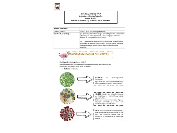 BENEFICIOS DE ALGUNOS MICROORGANISMOS