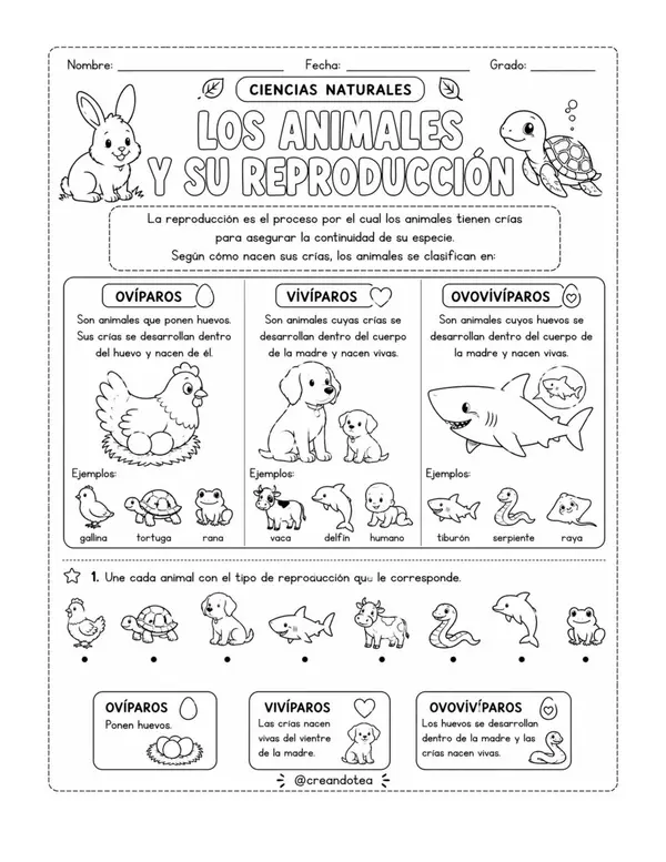 Guía ciencias naturales clasificación de los animales 
