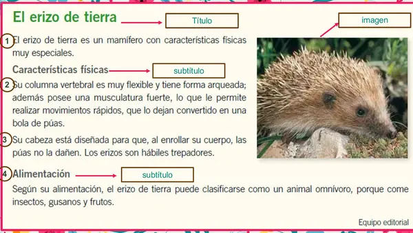 Artículo Informativo