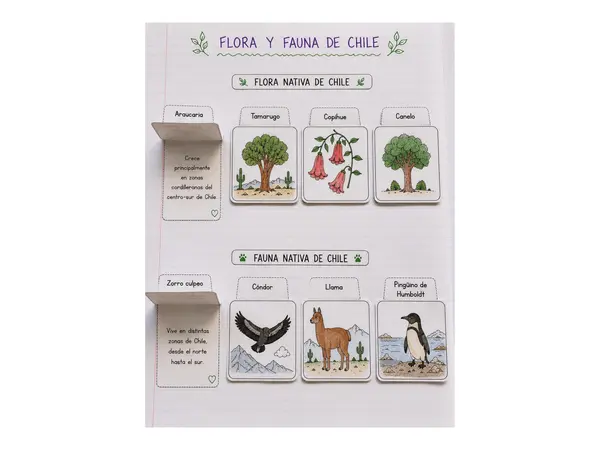 Flora y Fauna de Chile