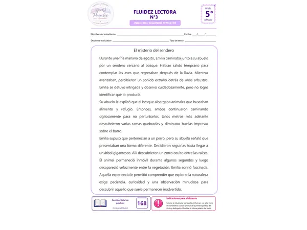 Fluidez y Comprensión Lectora | 5° Básico