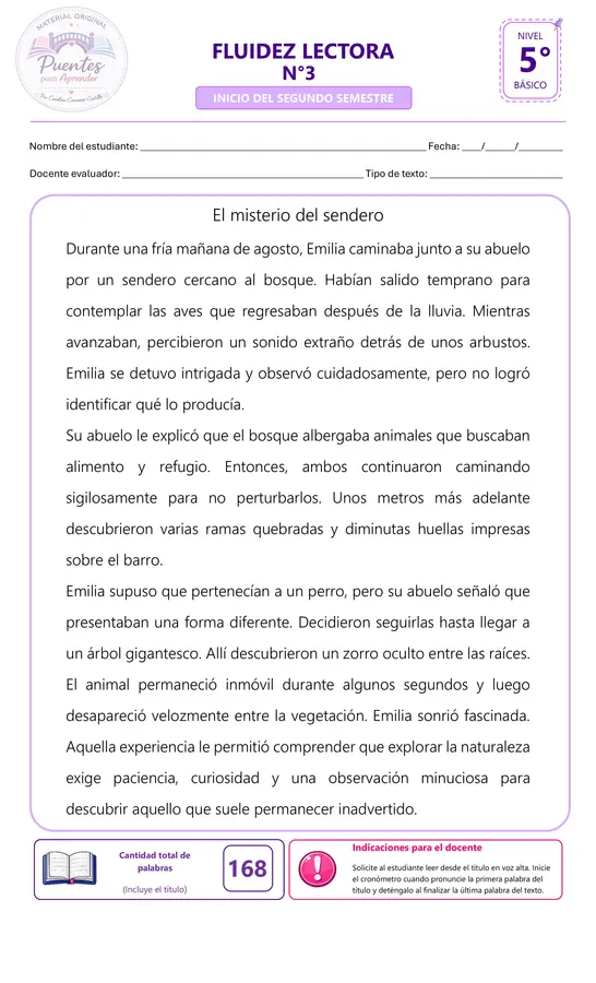 Fluidez y Comprensión Lectora | 5° Básico