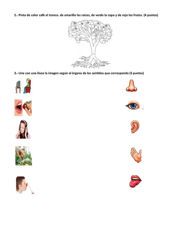 Evaluación Diagnóstica de Ciencias Naturales Primero Básico.
