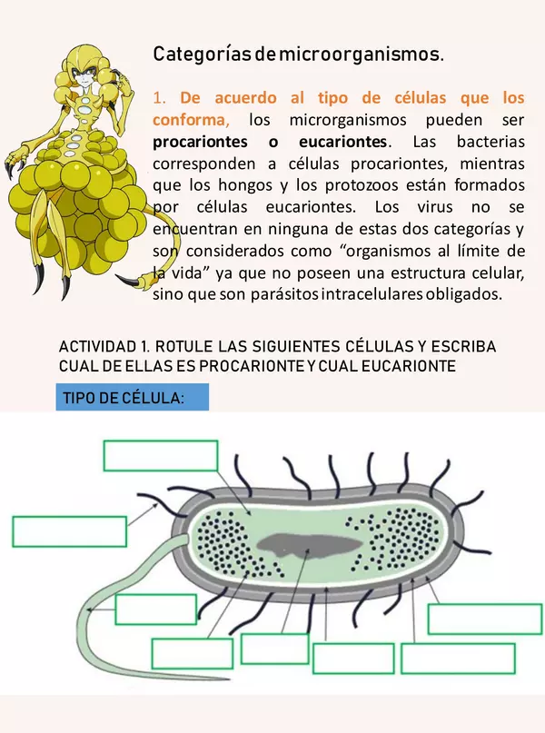 Guía Microorganismos Ciencias para la ciudadanía