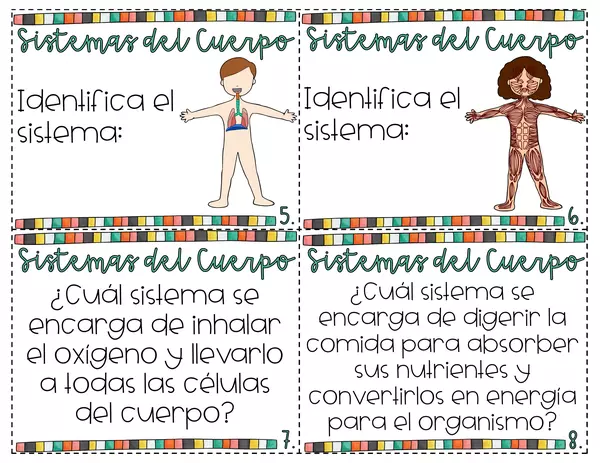 Los sistemas del cuerpo. Preguntas opción múltiple
