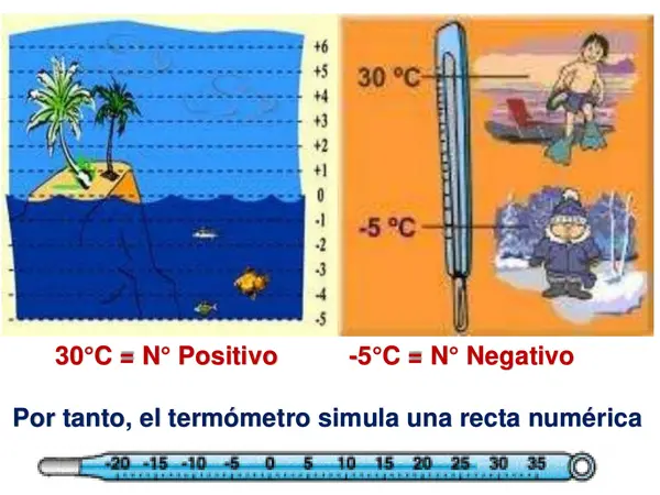 Números Enteros 7º