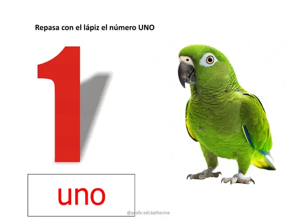 Libro de matemáticas 1-20