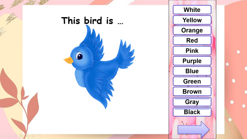 colores 5.png