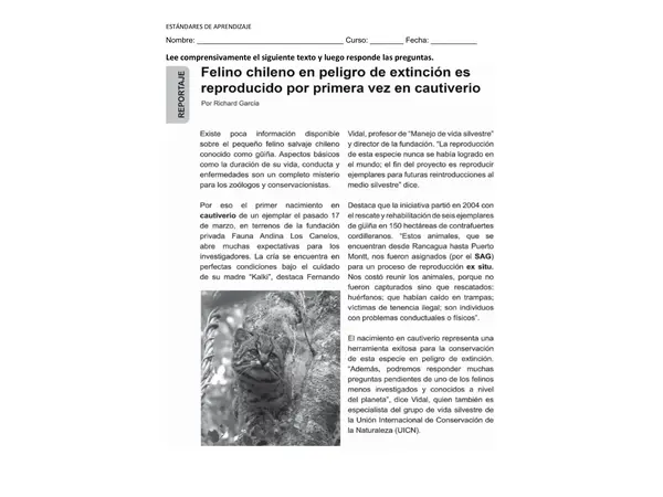 Estándar Lectura 4° 