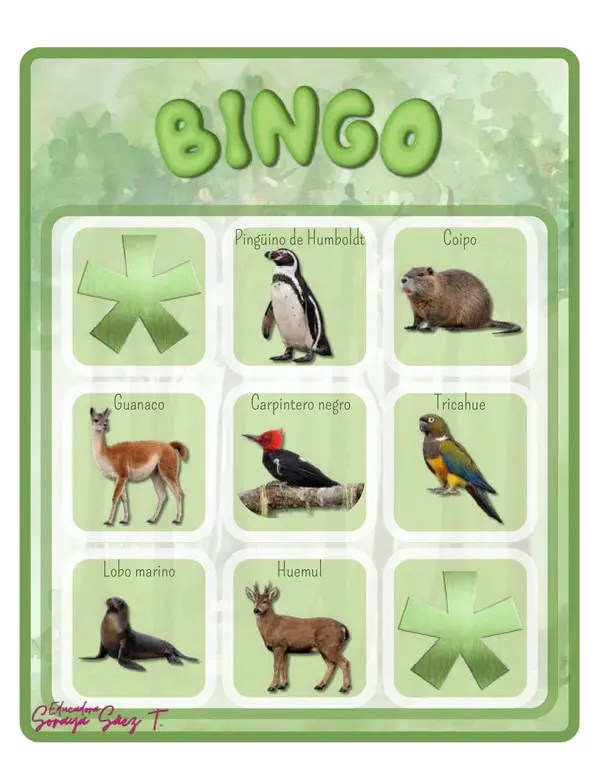 Bingo animales chilenos