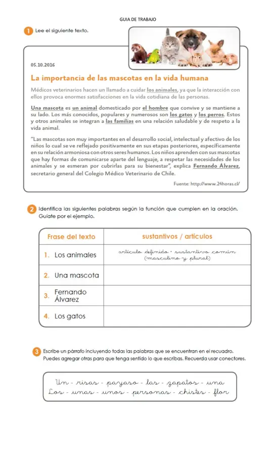 GUIA DE TRABAJO LENGUAJE 