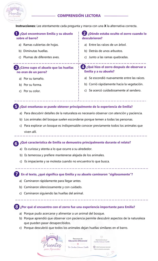 Fluidez y Comprensión Lectora | 5° Básico