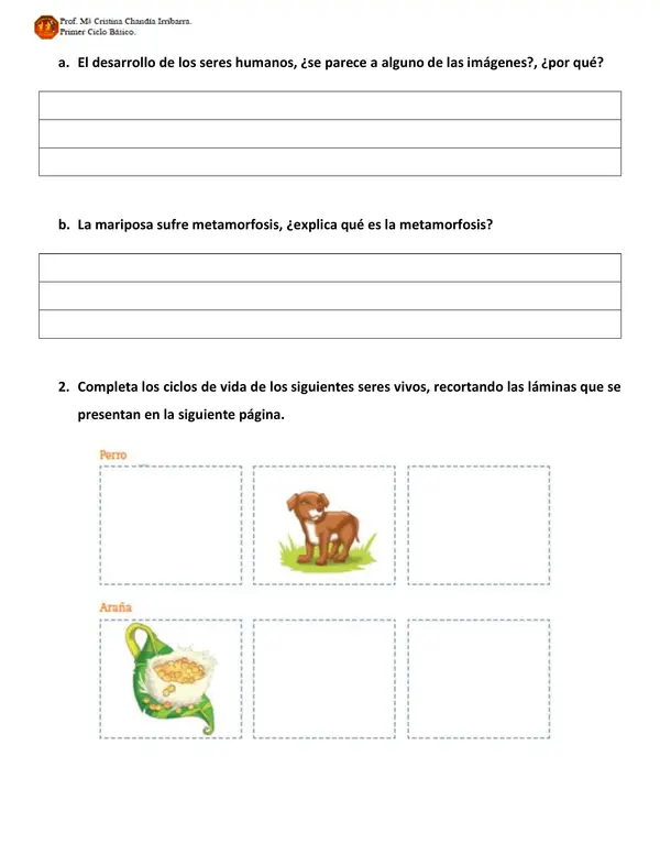 Guía "ciclo de vida de los animales"