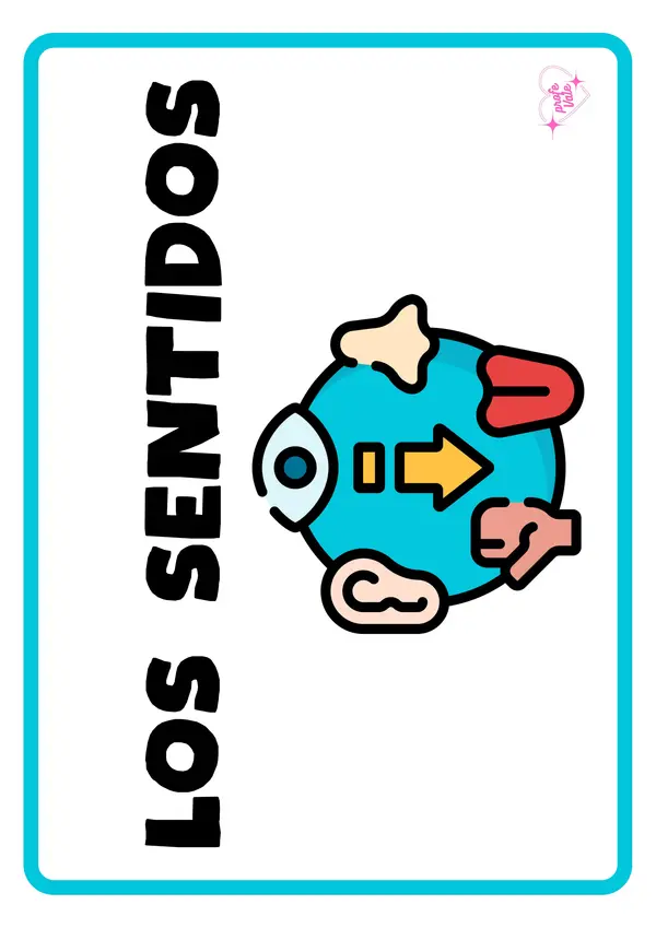 🧠 LOS SENTIDOS – Material visual para la sala