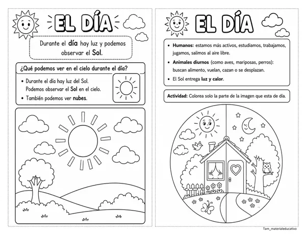 Ciclo diario 1° básico 