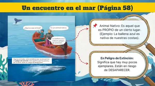 Clase 3 Lección 3 Unidad 2 "Animales de Chile en peligro" 2° Básico