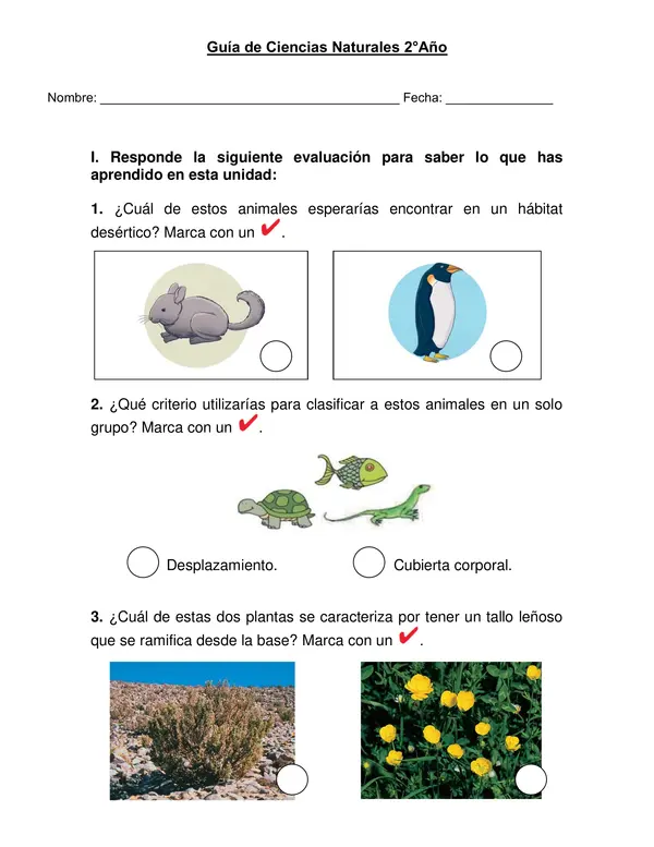 Guía de trabajo  ciencias naturales animales y plantas Primer año básico