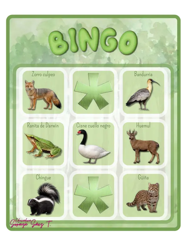 Bingo animales chilenos