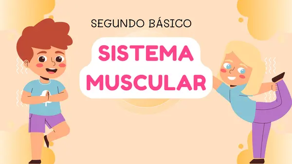 SISTEMA MUSCULAR (SEGUNDO BÁSICO)