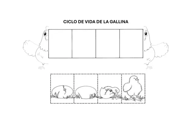 CICLO DE VIDA 