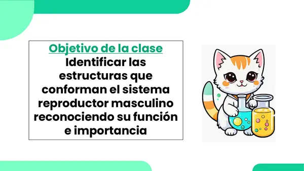 Sistema reproductor masculino