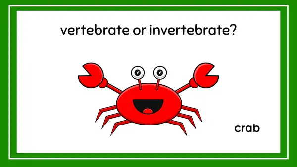 Vertebrates or invertebrates quiz game animals ppt no print 