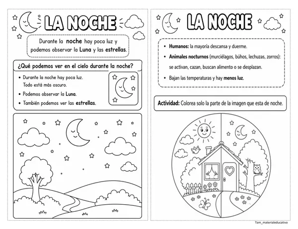 Ciclo diario 1° básico 
