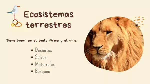 Ecosistemas de Chile