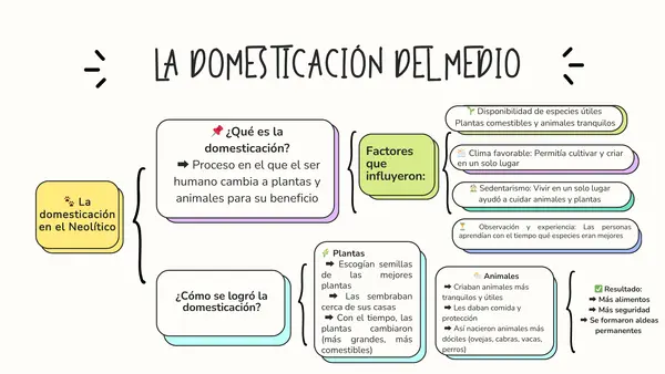 mapa conceptual periodo neolitico