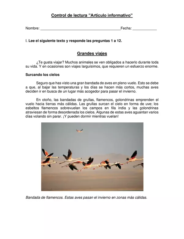 Control de lectura: Artículo informativo "Aves"