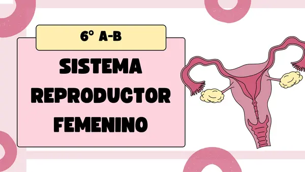 Aparato reproductor femenino 