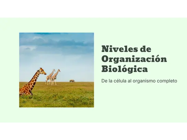 cuerpo en acción niveles de organización celular 