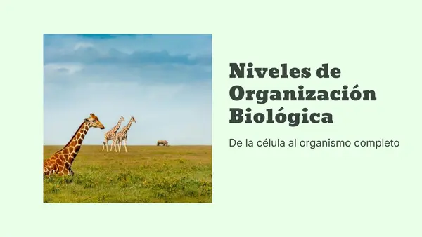 cuerpo en acción niveles de organización celular 