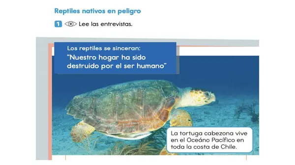 Clase 6 Lección 3 Unidad 2 "Reptiles nativos en peligro" 2° Básico