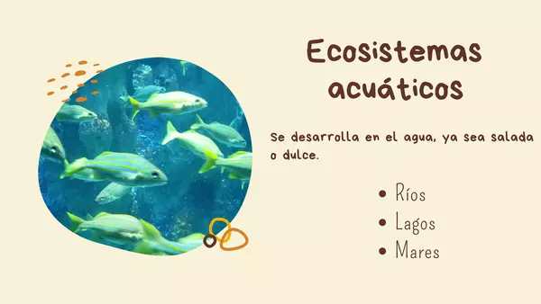 Ecosistemas de Chile