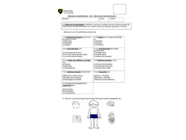 Prueba ciencias naturales, partes del cuerpo, vertebrados, vida saludable, habitat