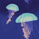 Täbata Opörto - @raikirinku