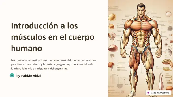 Introducción a los músculos en el cuerpo humano