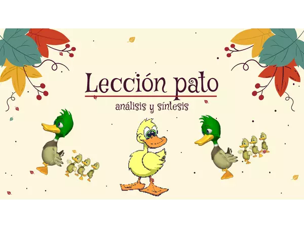 Leccion pato 🦆  - 2⃣ de 4⃣ 