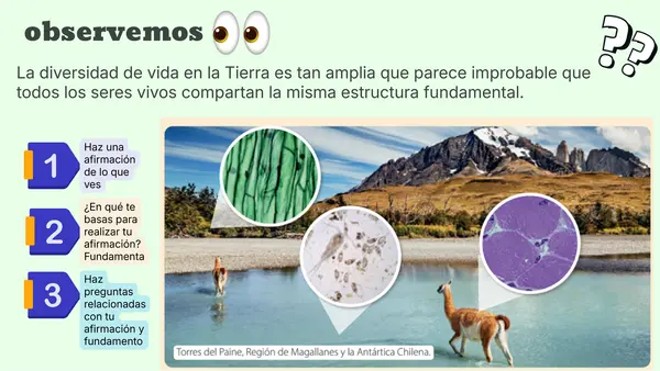 cuerpo en acción niveles de organización celular 