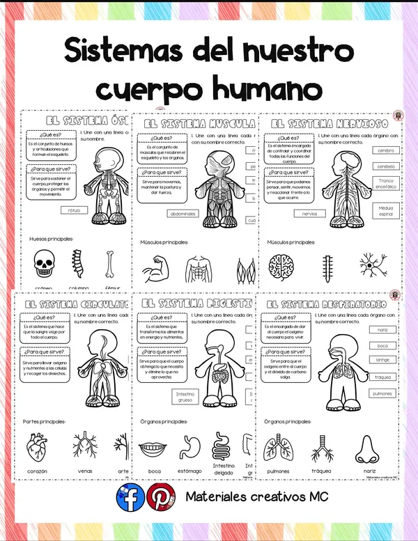 SISTEMAS DE NUESTRO CUERPO HUMANO