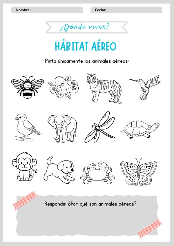Cuadernillo "Hábitat de Animales"