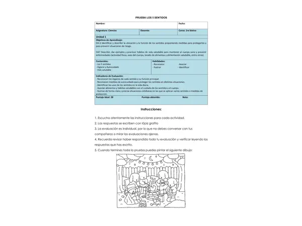 Prueba Unidad 1 Ciencias 1ro básico