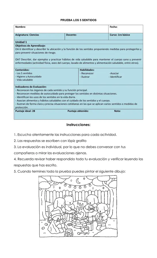 Prueba Unidad 1 Ciencias 1ro básico
