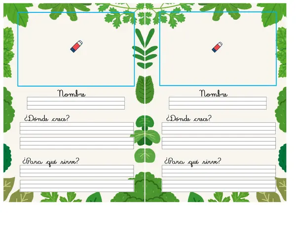 Álbum plantas de nuestro país
