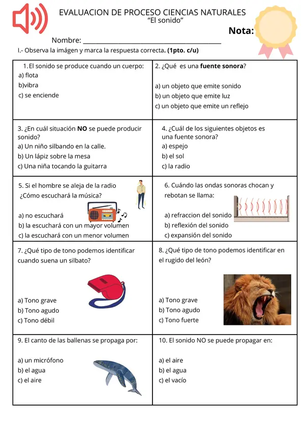 Evaluación El sonido