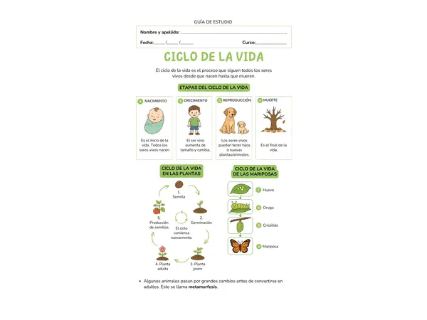 GUÍA DE ESTUDIO "CICLO DE LA VIDA"