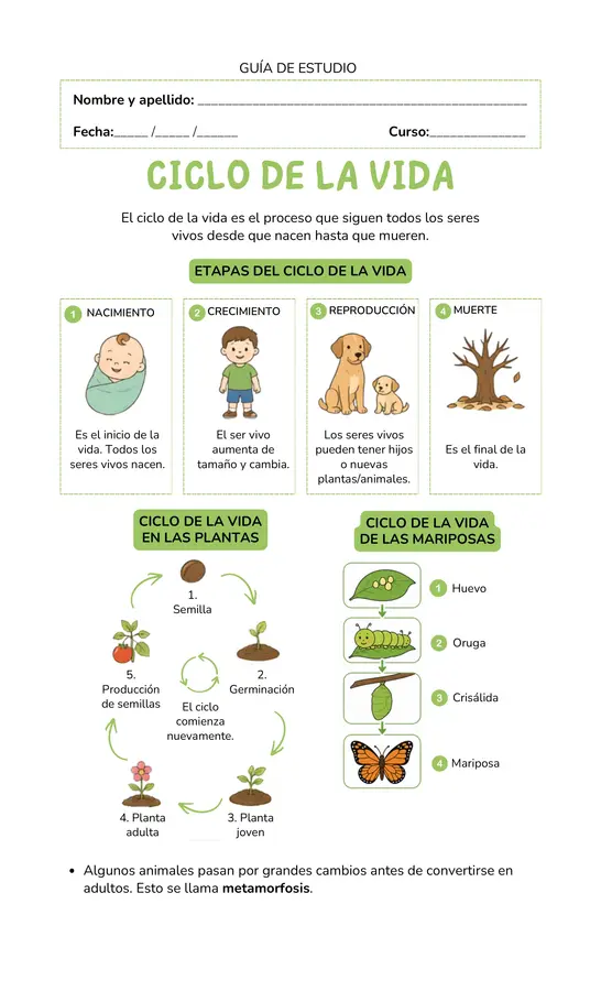GUÍA DE ESTUDIO "CICLO DE LA VIDA"