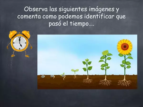 Unidad 1: El tiempo y nuestra familia" Primero básico